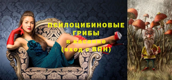 гидропоника Богданович