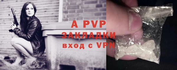 mix Богородицк
