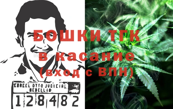 mix Богородицк
