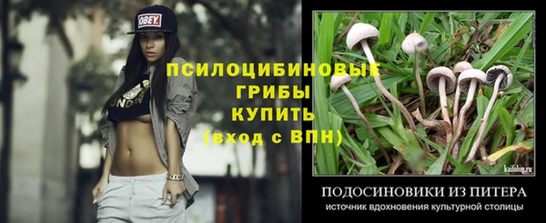 гидропоника Богданович