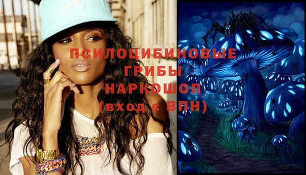 гидропоника Богданович