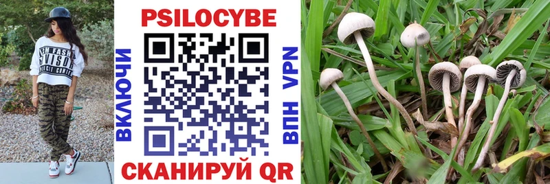 Псилоцибиновые грибы мухоморы  Купить закладки  Сковородино 